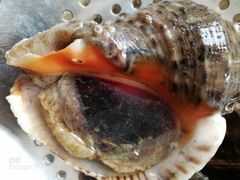 -四海蒸鲜蒸汽海鲜自助(北戴河店)