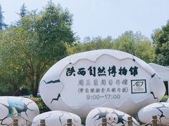 -陕西自然博物馆