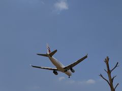 -空港花田景区