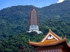 -深圳仙湖植物园