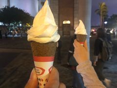 -富豪雪糕车流动点(尖沙咀店)