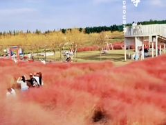 -嘉北郊野公园