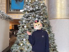 -王府半岛酒店·大堂茶座