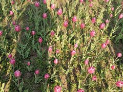 -长春公园(普阳街道)