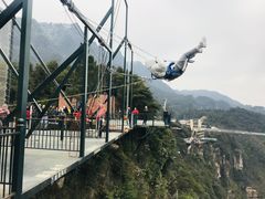 -梦幻奥陶纪景区