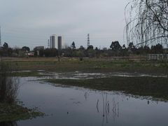 -白鹭湾湿地公园