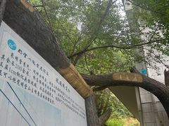 -明堂山风景区