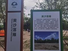 -东郊湿地公园