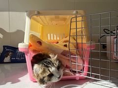 -美联众合动物医院·24h京西诊疗中心