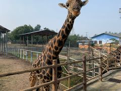 -西安秦岭野生动物园