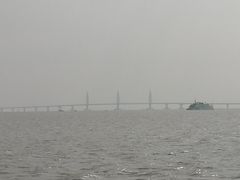 -野狸岛