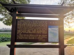 -月湖风景区