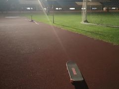 -复旦大学正大集团体育馆