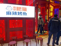 门面-南锣肥猫·麻辣烤鱼·16年现烤现卖(财富购物中心店)