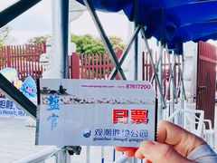 -观潮胜地公园