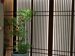 -康逸居·始于2002(海安店)