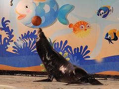 -太平洋海底世界