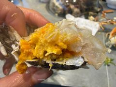 -万达广场(济南魏家庄店)