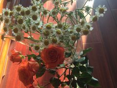 -FEI FEI FLOWER鲜花店·气球派对·宝宝宴布置(虹口德必运动Loft店)
