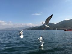 -丽江泸沽湖景区