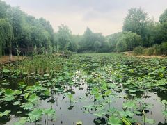 -江南大学(蠡湖校区)