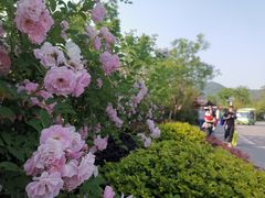 -石塘人家