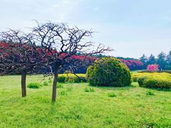 -秦始皇帝陵博物院-丽山园
