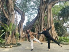 -瑞丽独树成林风景区