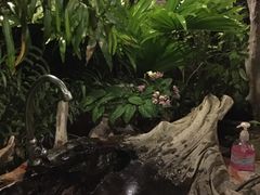 -自然餐厅(Phuket)