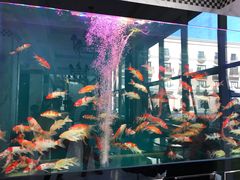 -澜悦港海鲜体验主题餐厅