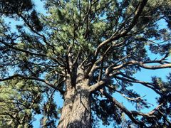 -终南山南五台景区