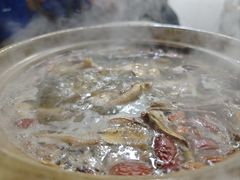 -威邵鸡煲(西华路总店)