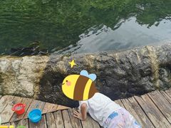 -成都市活水公园