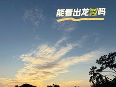 -Big Bus Tours 敞篷观光巴士