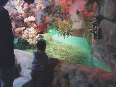 -常州海昌海洋探索馆