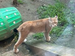-青藏高原野生动物园