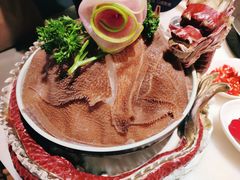 -孙毛肚火锅(春熙路店)