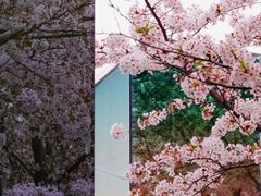 -龙美术馆(西岸馆)