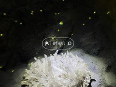 -正佳自然科学博物馆