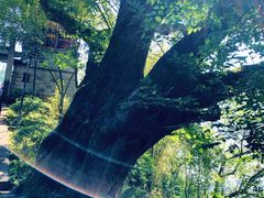 -丰都鬼城名山景区