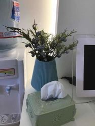 -妍理·植物养发