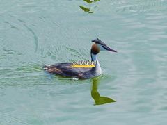 -野鸭湖国家湿地公园