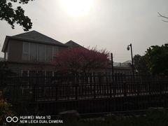 -长广溪湿地公园