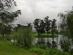 -两河城市森林公园