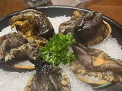鲜活六头鲍-东海怡品海鲜豆捞(星街坊店)