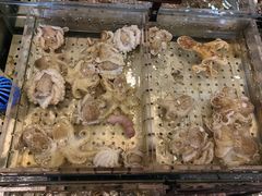 -浩运·海鲜青岛菜·海胆水饺(石老人店)