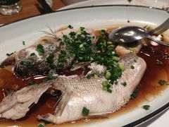 -新白鹿餐厅(百联中环店)