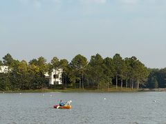 -上海海湾国家森林公园