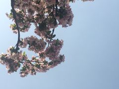 -北京鹫峰国家森林公园