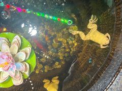 -锦上中式酒馆(南内环店)